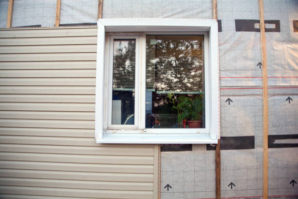 Best Aluminum Siding Installation  in Ellinwood, KS